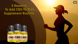 5 Reasons To Add CBD To Your Supplement Routine