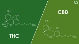 THC_and_CBD_–_Two_Cannabinoids_Shaping_the_Future