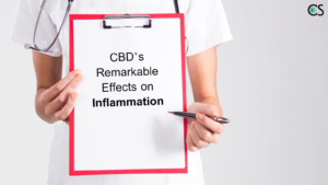CBD’s Remarkable Effects on Inflammation