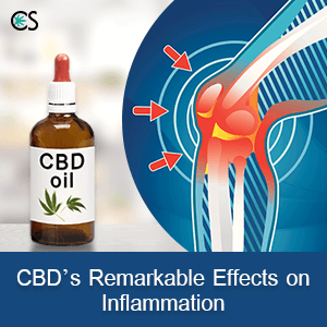 CBD’s Remarkable Effects on Inflammation - snippet