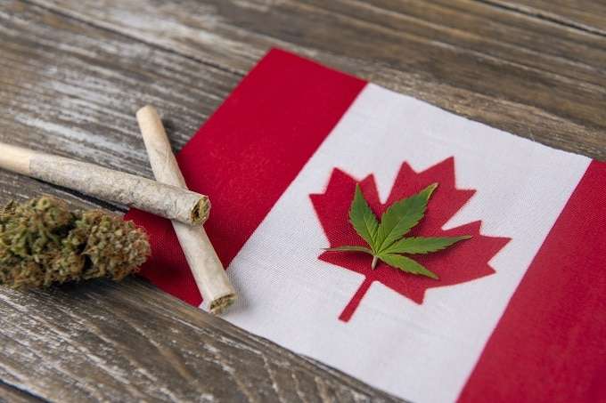 Cannabis On Canada Flag
