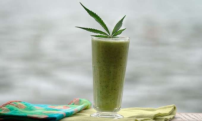 raw cannabis is in a smoothies