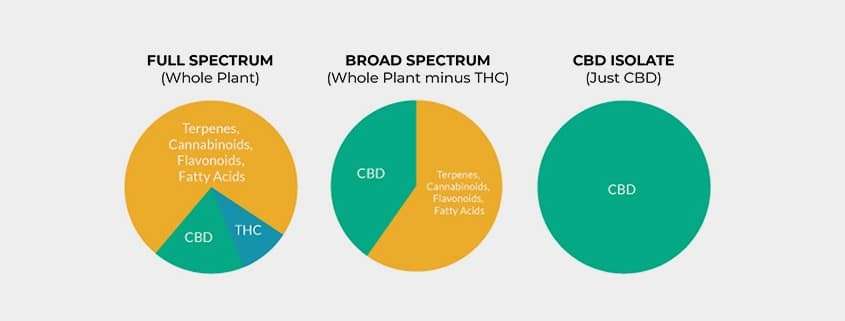 Full Spectrum CBD Chart