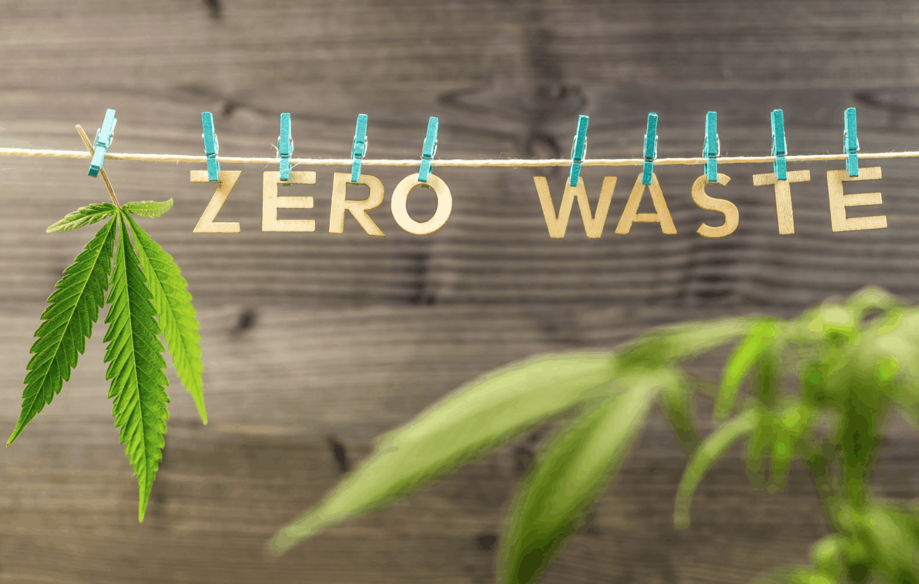 zero waste cannabis