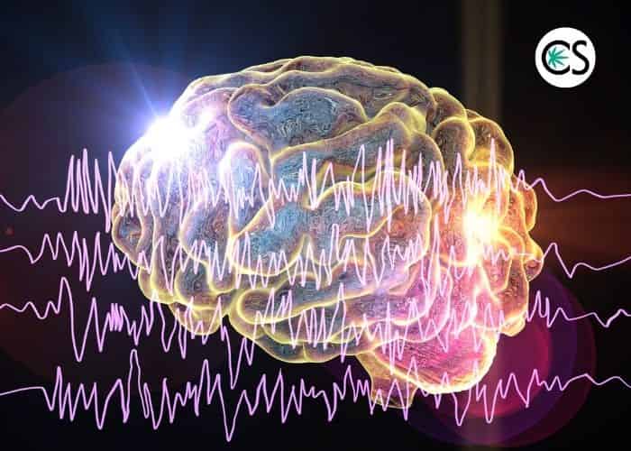 abnormal brain activity during epileptic seizure