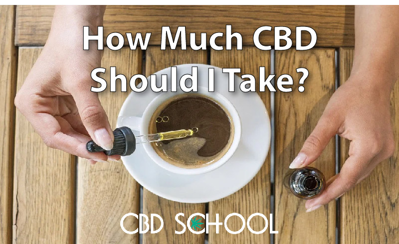 how much CBD should I take featured image
