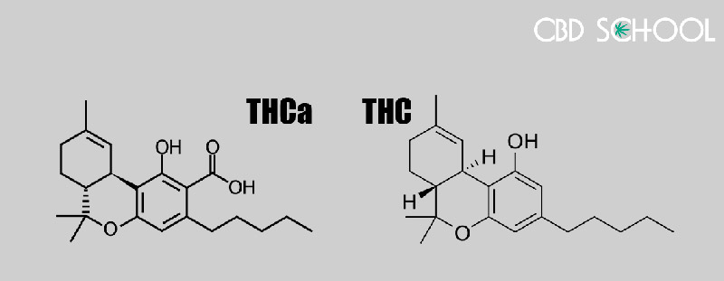 thca and thc molecules