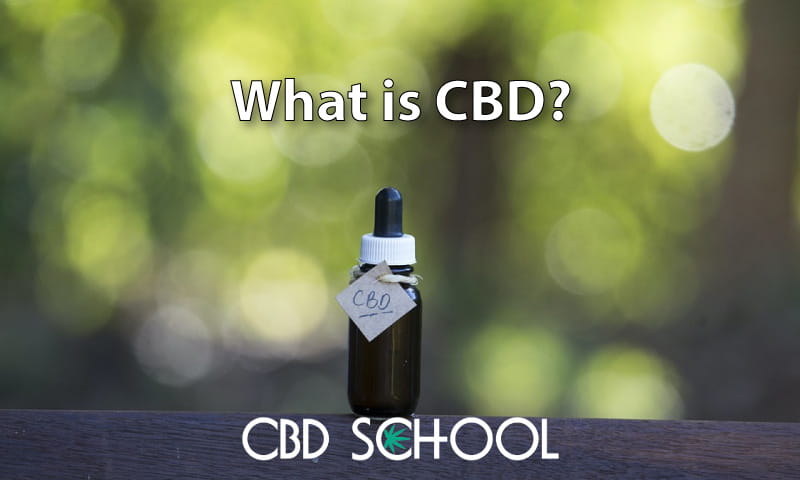 what is CBD featured image