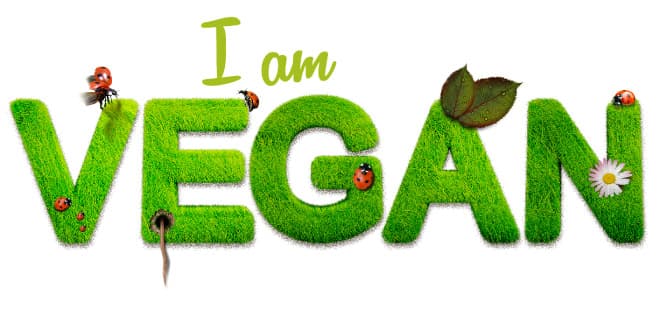 I am vegan words