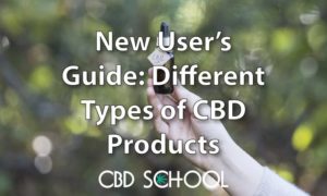 different types of CBD products featured image