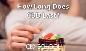 how long does CBD last featured image