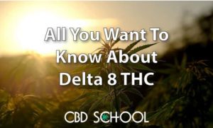 delta 8 THC featured