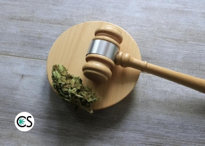 federal laws pertaining to cannabis