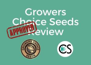 growers choice seeds review