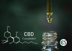 what does cbd stand for