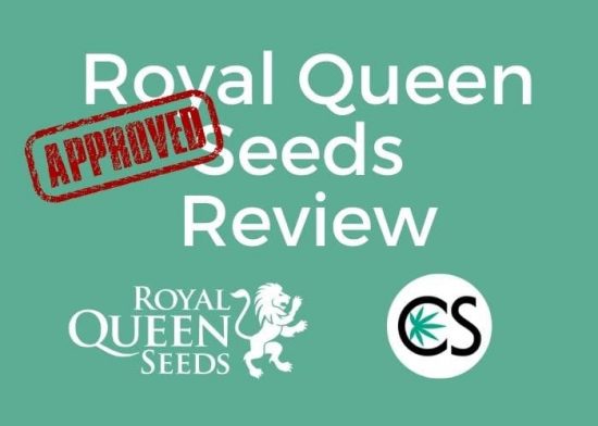 Kush Royal Queen Seeds Review