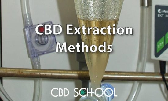 cbd extraction methods featured image