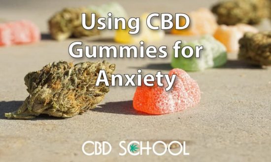 cbd gummies for anxiety featured