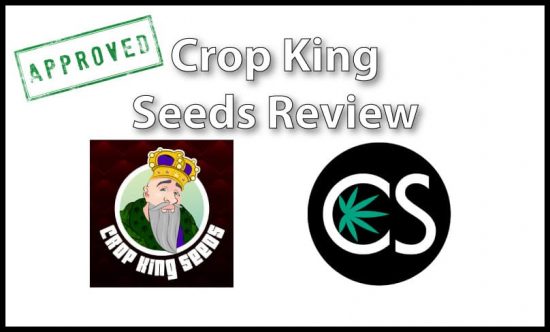 crop king seeds review