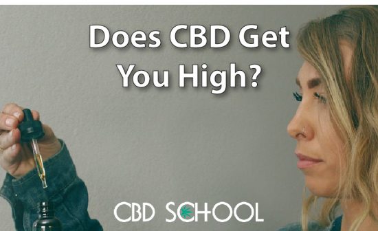 does CBD get you high article thumbnail