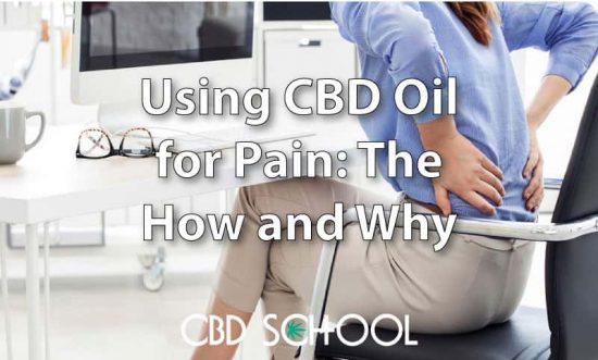 using cbd oil for pain featured
