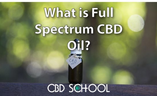 what is full spectrum cbd oil article image
